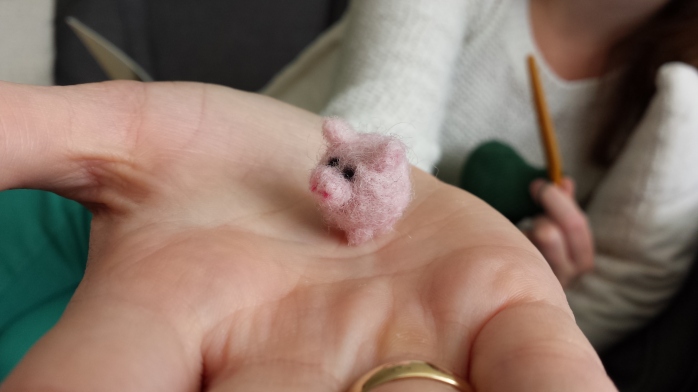 Tiny piglet :3
